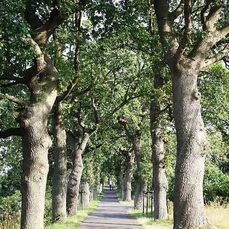 Duene -penthousewohnung We 18 アパート *