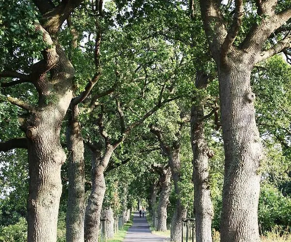 Duene -penthousewohnung We 18 דירה *